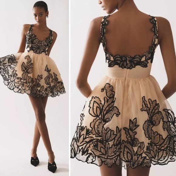 Maeve Dresses & Skirts - Maeve Nude Tulle Mini Dress with Black Floral Appliqué